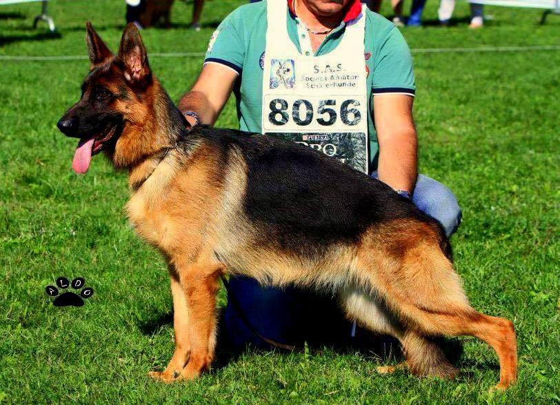 Melinda vom Solebrunnen