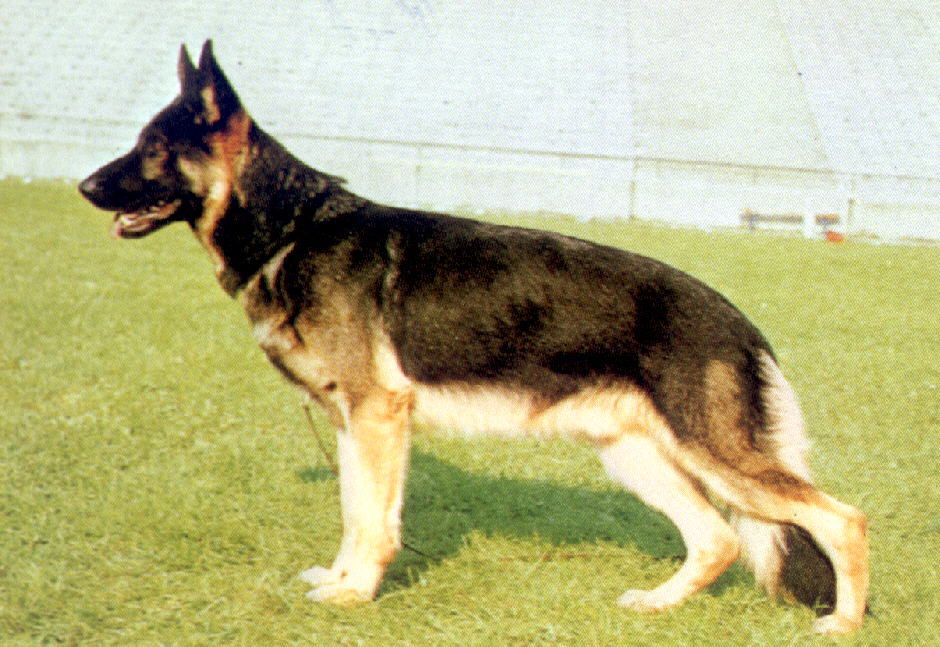 Harko von der Hochantenne