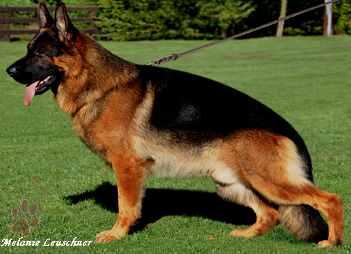 Canyon von der Lars-Aue