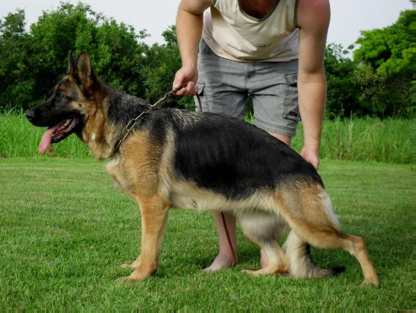 Julija Starođjurđjevačka