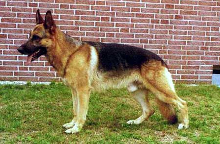 Frei vom Holtkämper See