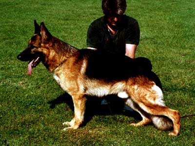 Idol vom Lechtal