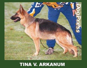 Tina vom Arkanum