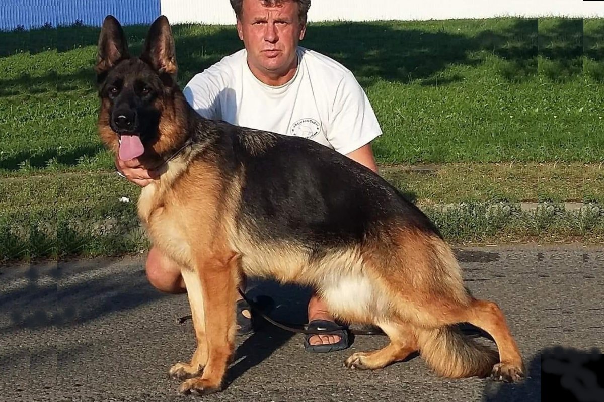 Vac-Vagvölgyi Valery