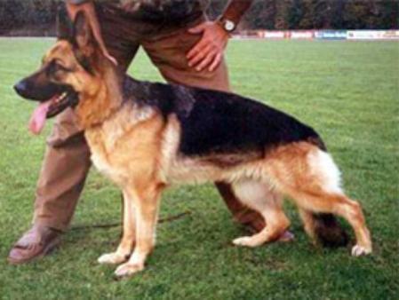 Maxi von Batu