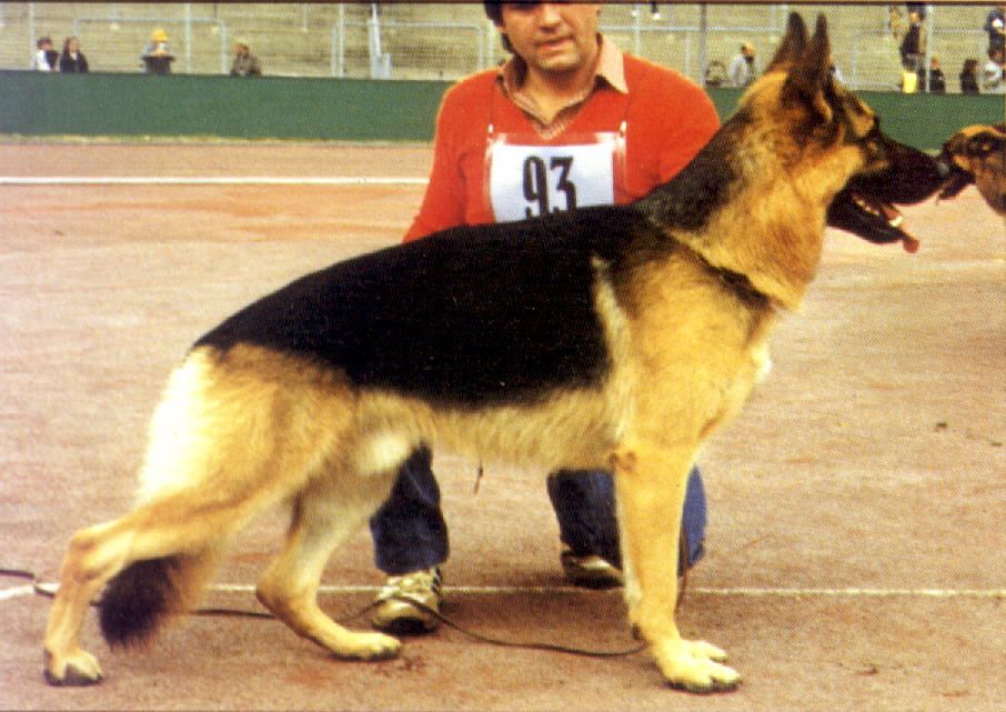 Natz vom Hasenborn