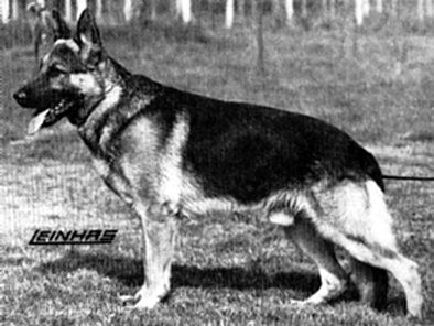 Quanto von der Wienerau