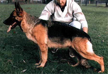 Ussi von der Wienerau