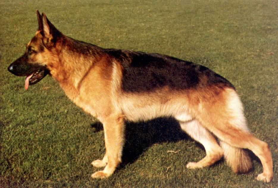 Uran vom Wildsteiger Land