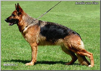 Amelie von Cleo