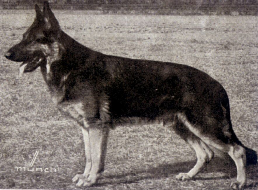 Klodo aus der Eremitenklause