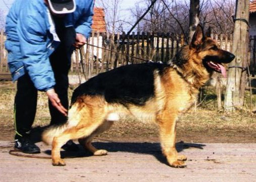 Ullas von der Wienerau