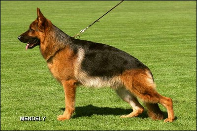 Yenno vom Hühnegrab