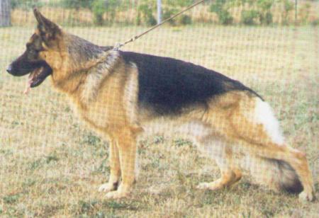 Lasso vom Wiedenbrücker Land