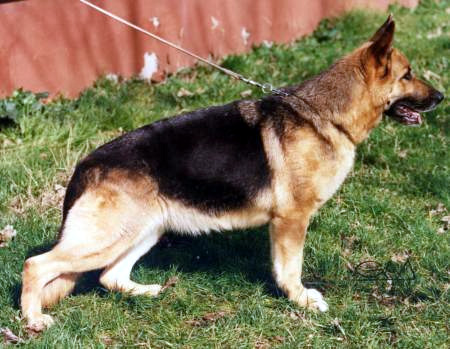 Christin von der Burg Aliso