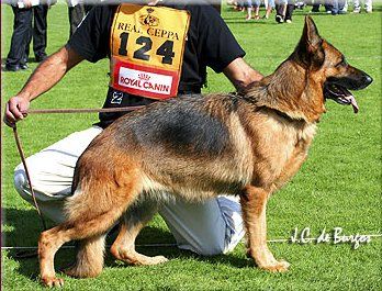 Lufti vom Hühnegrab