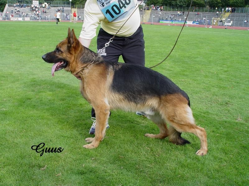 Bax von der Luisenstraße