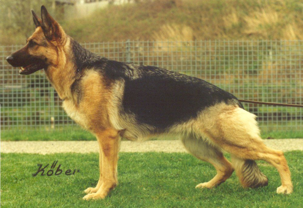 Xena aus Wattenscheid