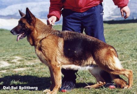 Dal-Sul Splitberg