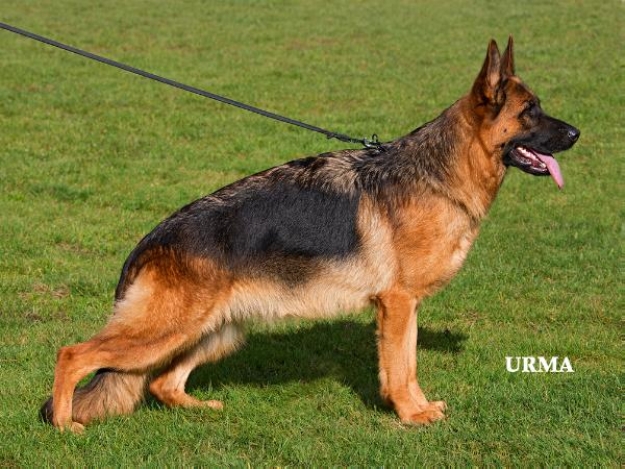 Yava von Aurelius