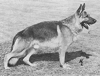 Image not found