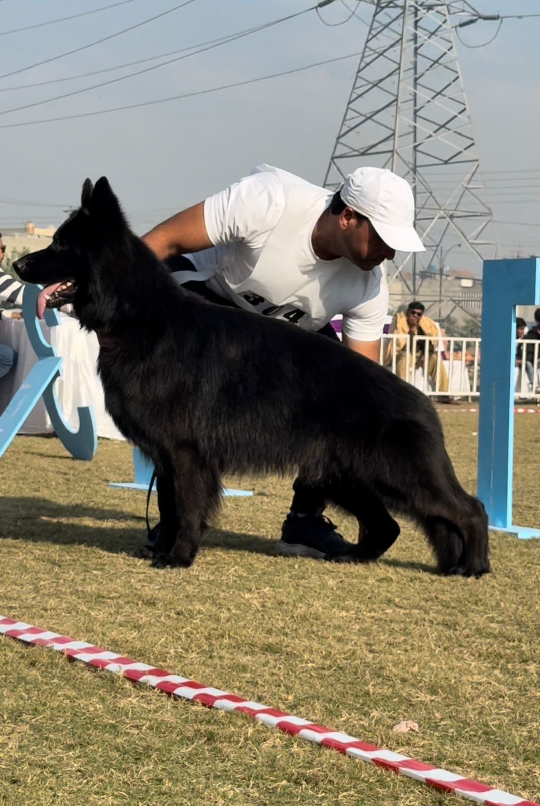 Ian Team Perfect Kennel