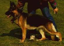 Hafran's Xara