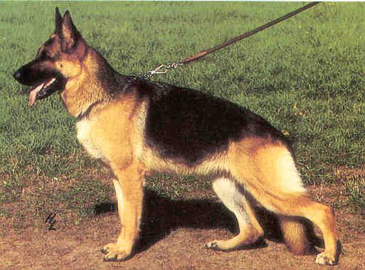 Orna von der Steinhägerquelle