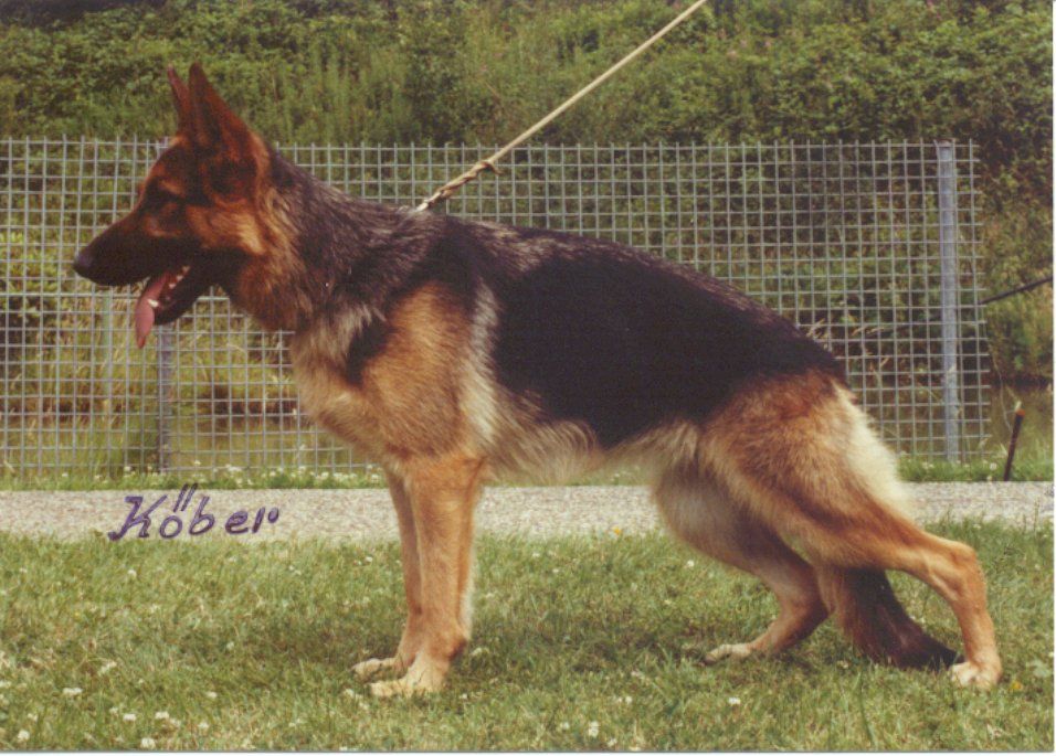 Ana aus Wattenscheid