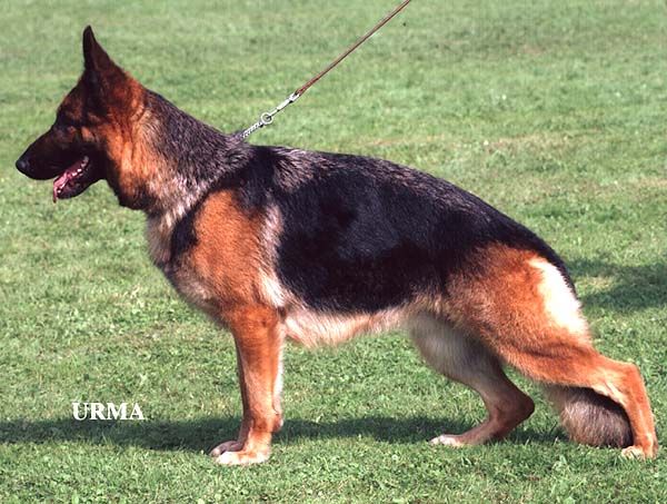 Zita von Ramona