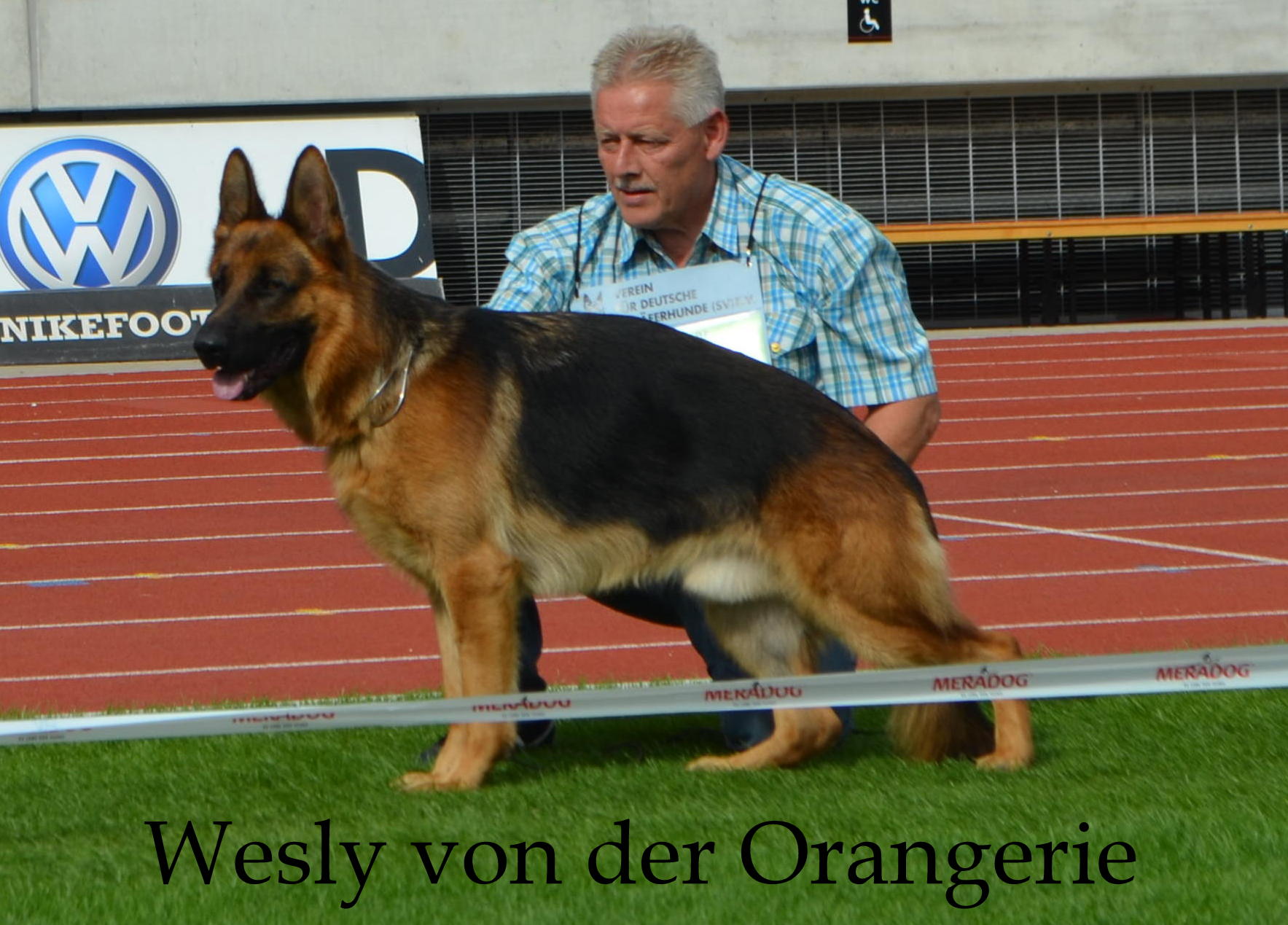 Wesly von der Orangerie