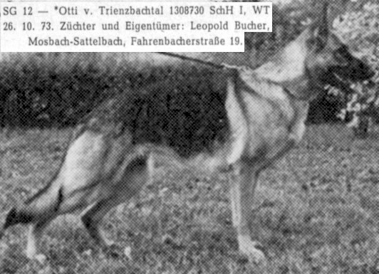 Image not found