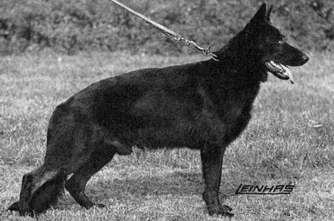 Frei von der Gugge