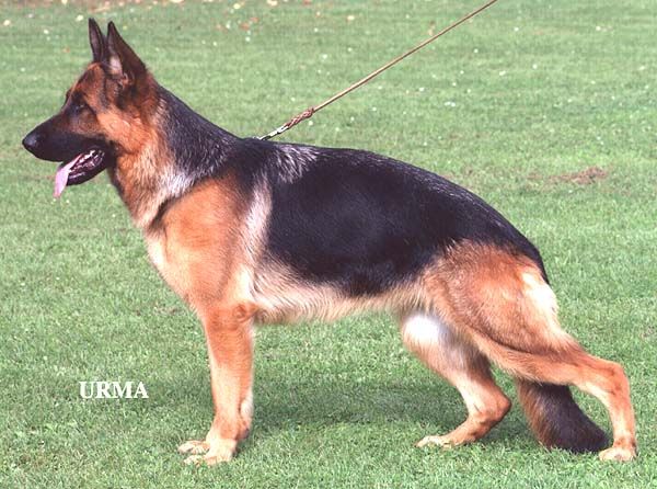 Lucy von der Reck-Kamensche Heide
