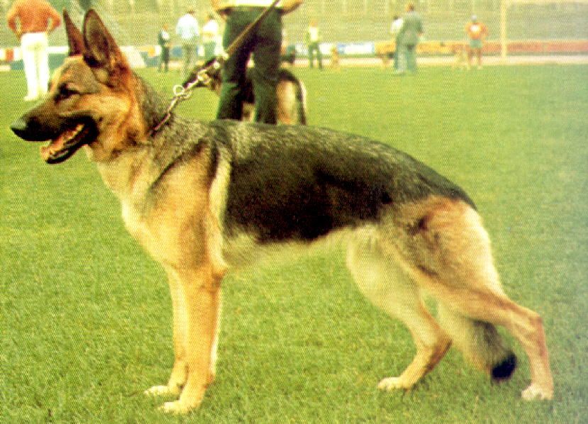 Image not found