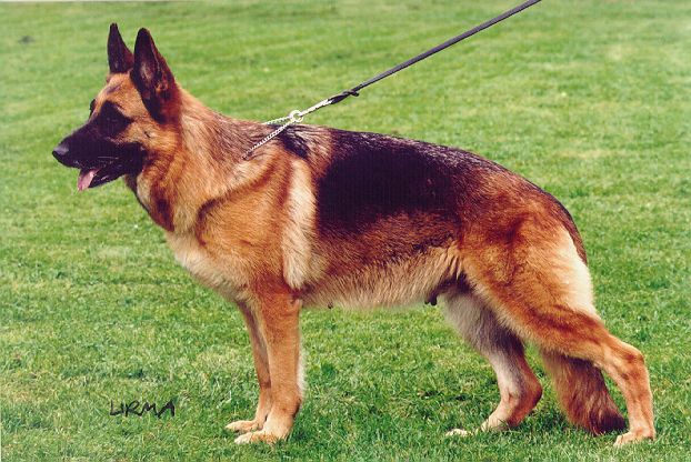 Xena aus Agrigento