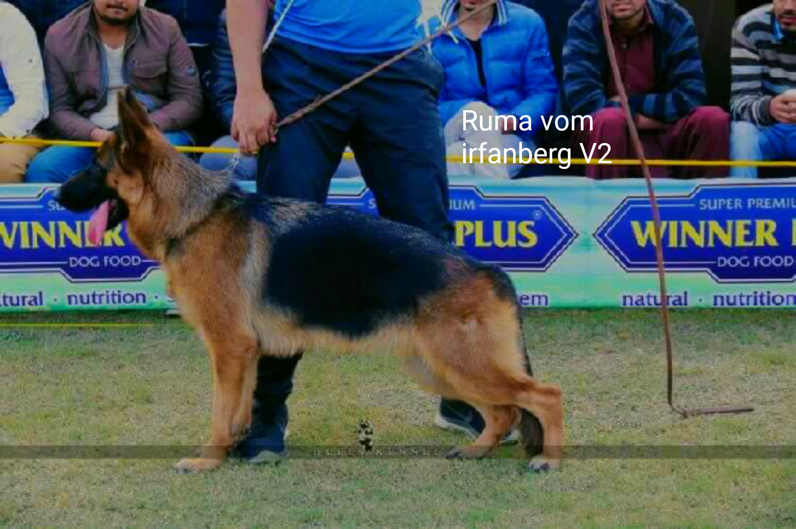 Ruma vom Irfanberg