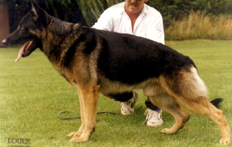 Xando von Karthago